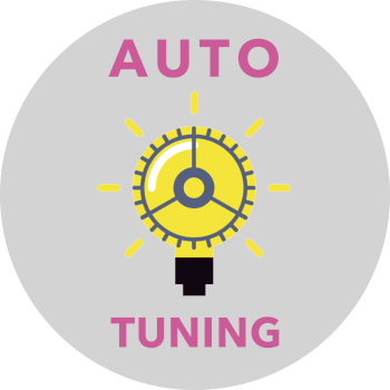 AUTOTUNEFW01 - Automatic Tuning Capability